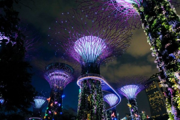 Gardens By The Bays Singapura Gelar Festival Bunga, Catat Agendanya!