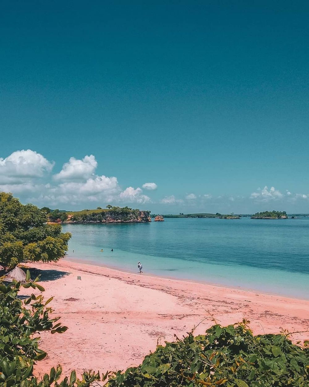 Informasi Lokasi, Rute, dan Tips Liburan ke Pantai Pink di Lombok