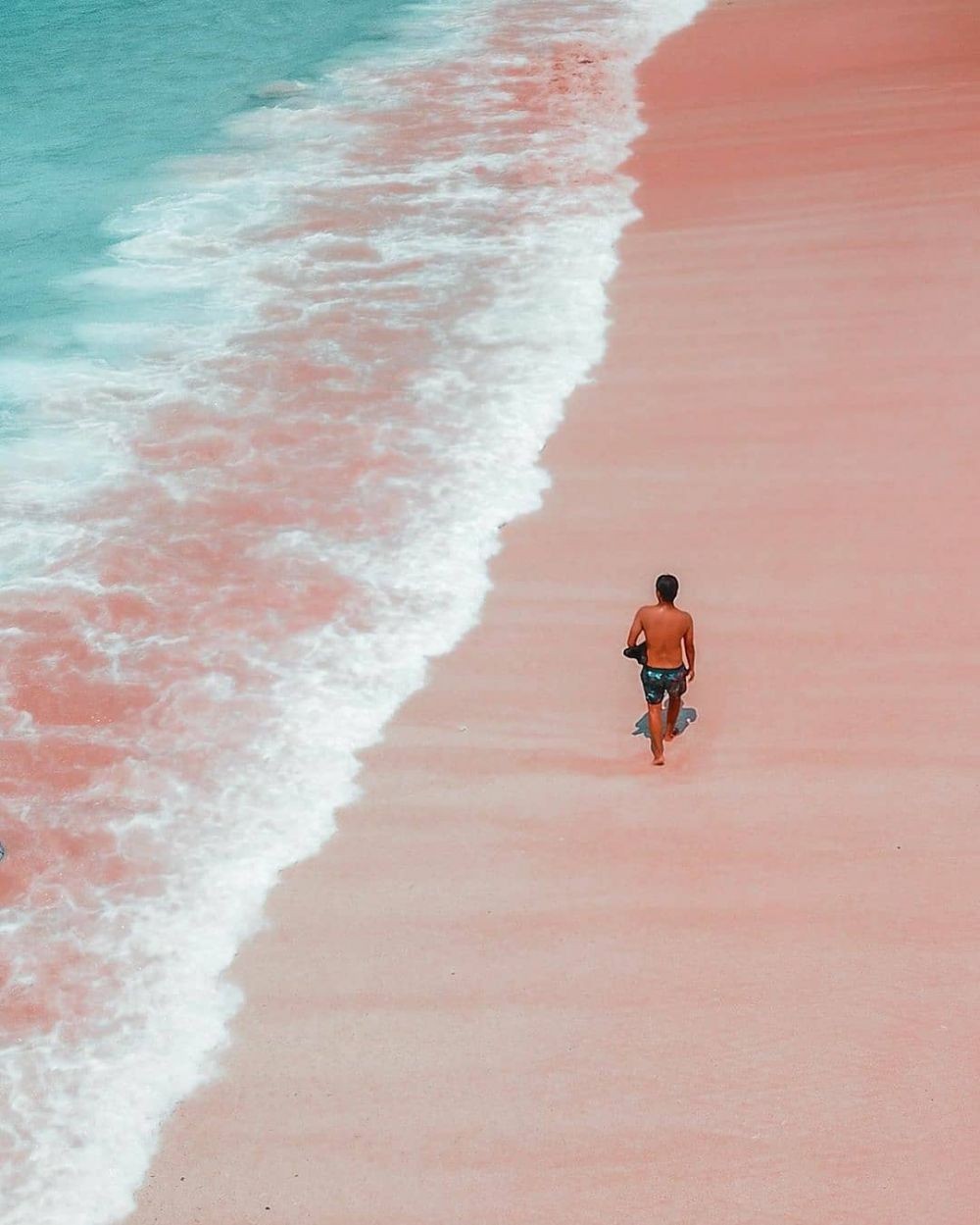 Informasi Lokasi, Rute, dan Tips Liburan ke Pantai Pink di Lombok