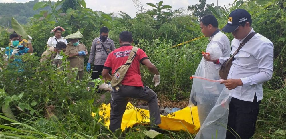 Kerangka Manusia Ditemukan Pencari Rumput di Hutan Bojonegoro 