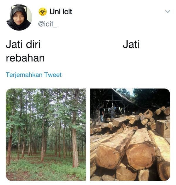 Kocak, 9 Netizen Ini Lakukan Cocokologi Benda yang Ada di Sekitar Kita