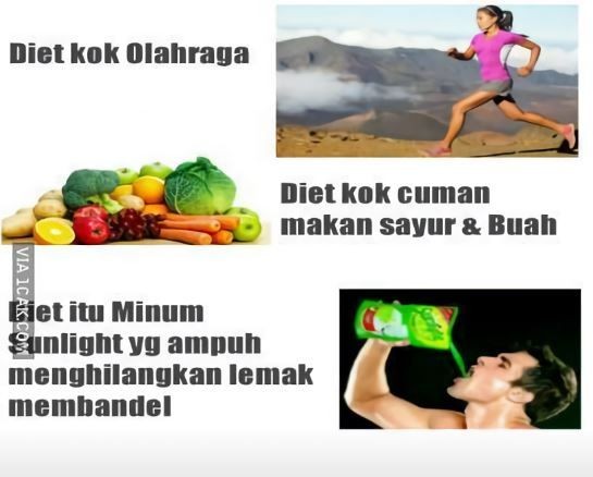Nyeleneh Abis! Inilah 10 Postingan Tutorial Gak Berfaedah di Internet