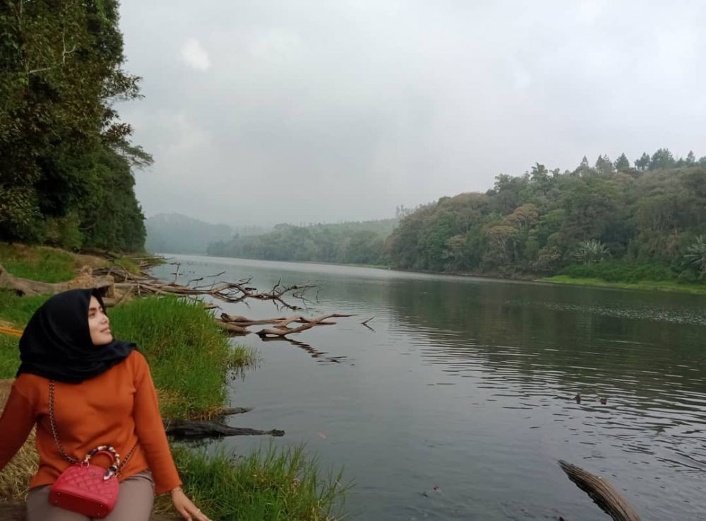 Memesona, 9 Fakta Kaligua Paguyangan, Kebun Teh Tersembunyi di Brebes