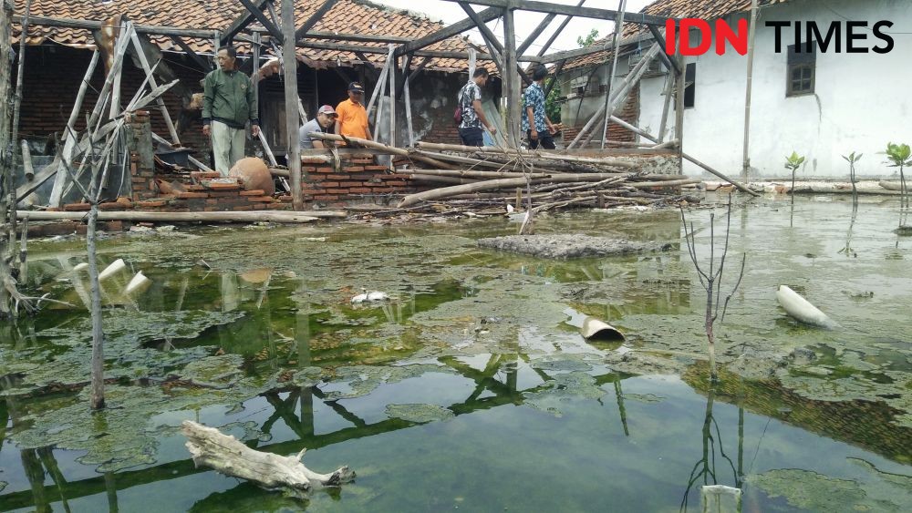 Abrasi Ancam Lenyapkan 400 Rumah Warga dan 20 Hektare Tambak di Tegal 