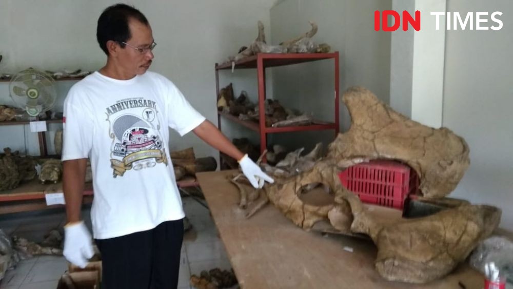 Warga Mengira Balung Buto, Kisah Berdirinya Museum Purbakala Patiayam