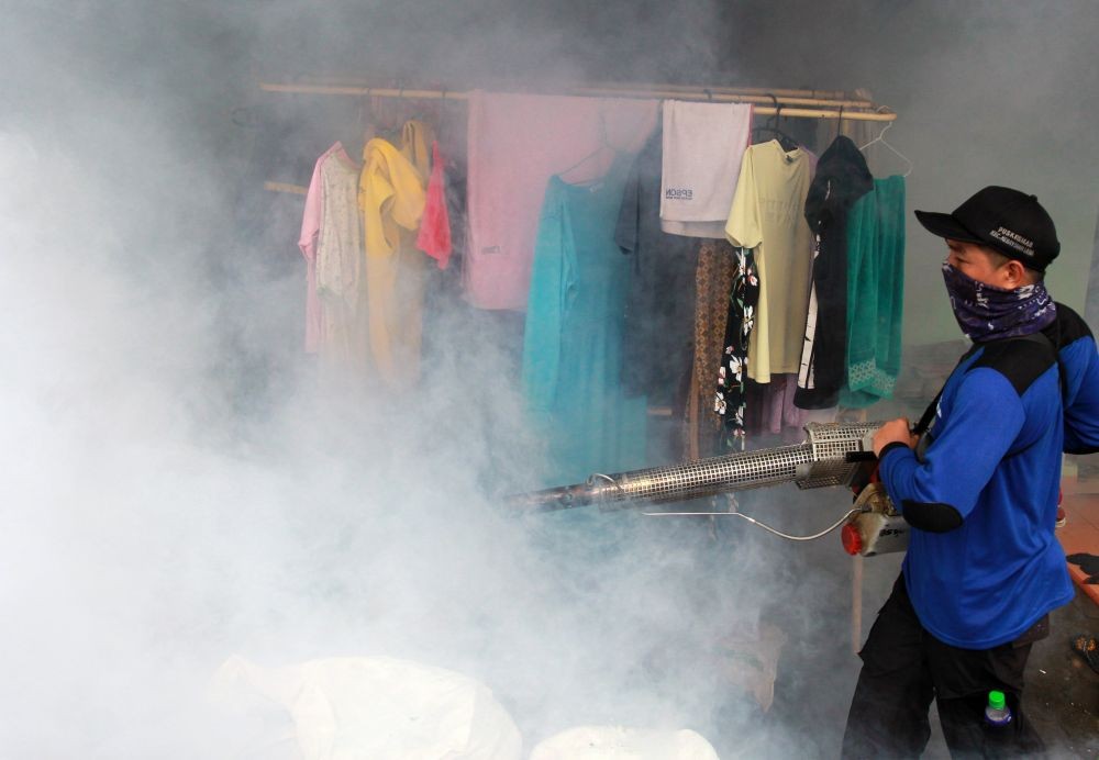 Chikungunya Serang Semua Kecamatan di Bima, Butuh Fogging Menyeluruh
