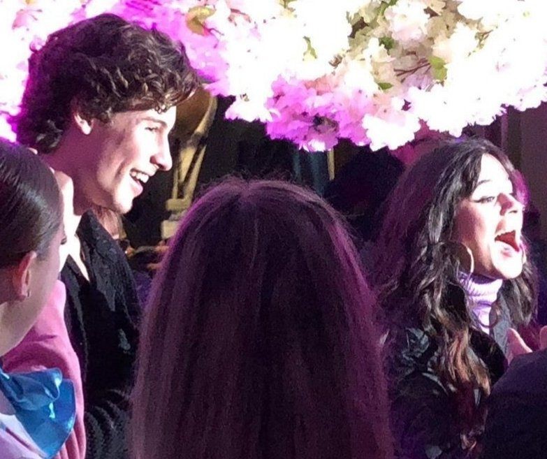 10 Momen Romantis Shawn Mendes Beri Kejutan Untuk Ultah Camila Cabello