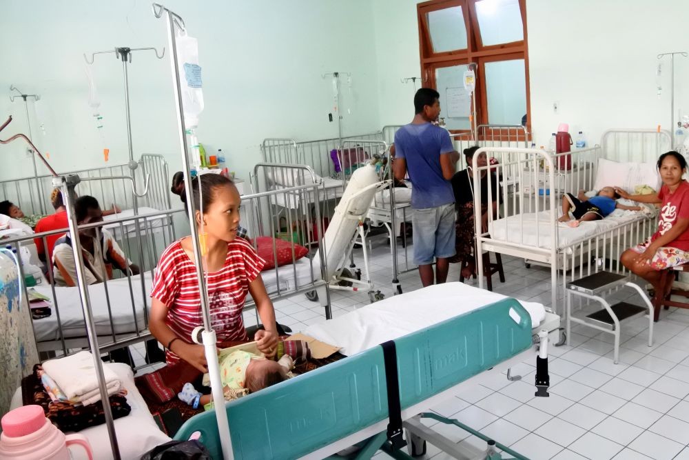 KLB Demam Berdarah di Sikka NTT, 14 Pasien Meninggal Dunia