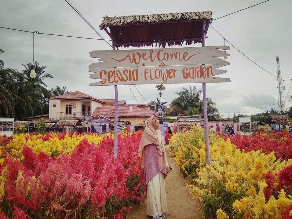 10 Potret Taman Bunga Celosia, Destinasi Wisata Instagramable di Aceh