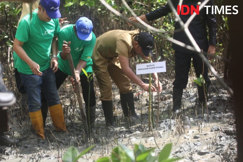 Pertamina Kaltim Terima Penghargaan Peduli Lingkungan dari Bupati PPU