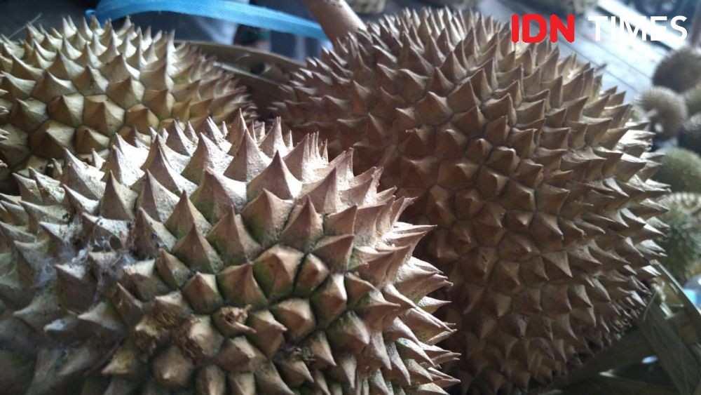 Pandemik COVID-19, Durian Asal Sumut Laris Manis di 2 Negara