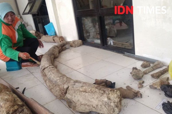 Sutopo Terima Duit Usai Temukan Fosil 2,5 Meter di Situs Patiayam