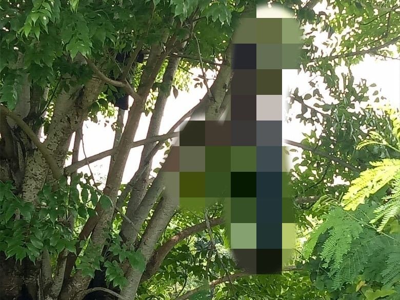 Pria Tanpa Identitas Ditemukan Tewas Gantung Diri di Pohon Kedondong 