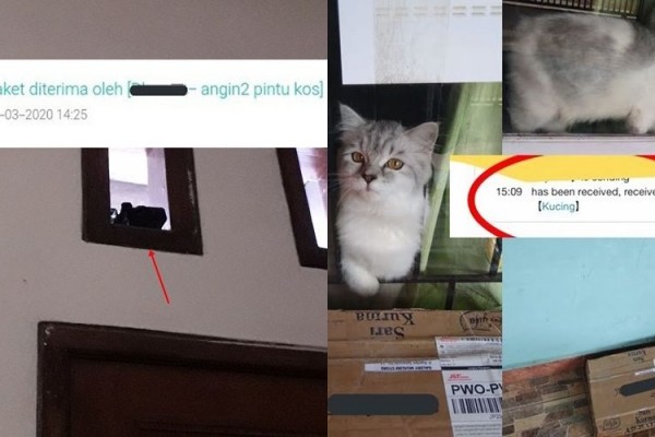 Gak Ada Orang di Rumah, 10 Nama Penerima Paket Ini Bikin Tepok Jidat
