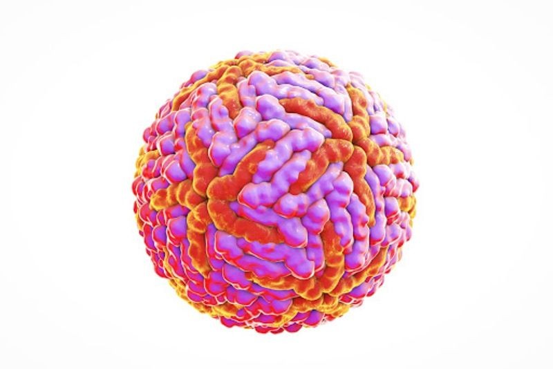 12 Virus Paling Berbahaya di Muka Bumi, Lebih Mematikan Dari COVID-19 