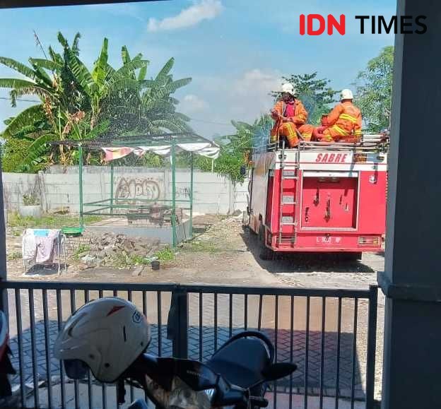 Tangkap Iguana Pakai Protokol COVID-19, Ini Alasan Petugas Damkar   