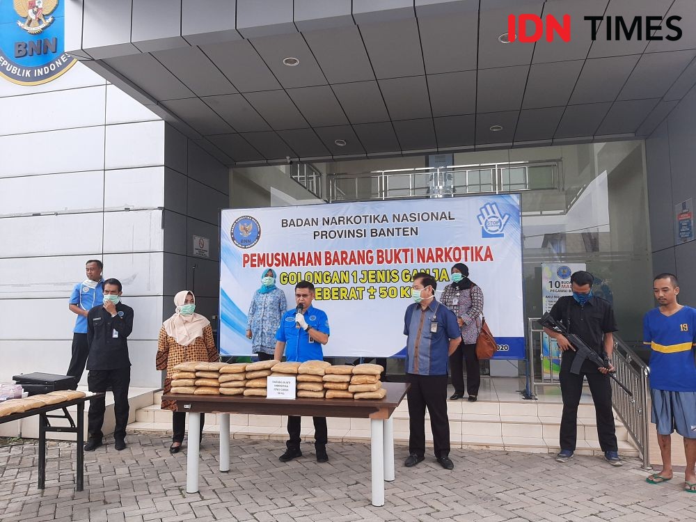 BNNP Banten Musnahkan 50 Kg Ganja yang Dikendalikan dari Lapas 