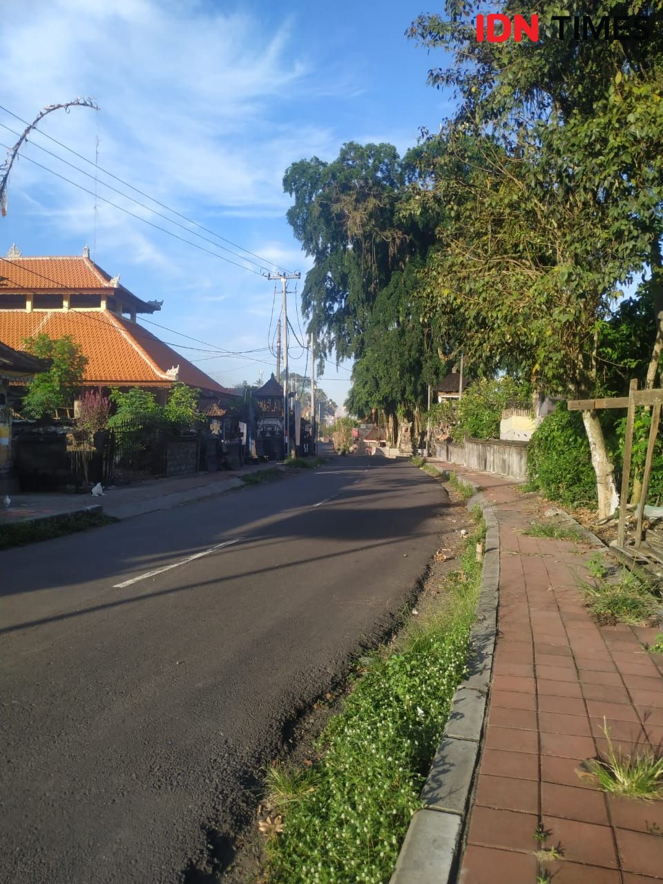Kumpulan Update COVID-19 di Bali, Mulai APD Hingga PNS yang Positif