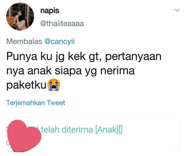 15 Laporan Penerimaan Paket Paling Kocak yang Pernah Dialami Netizen