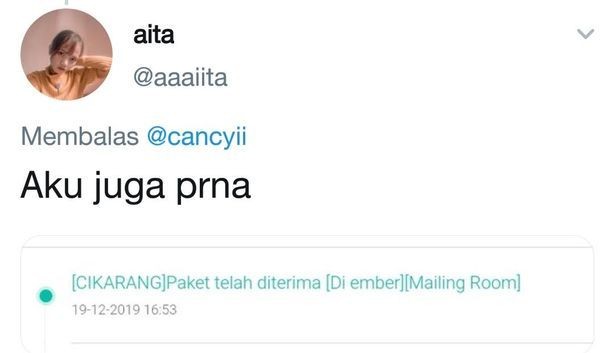 15 Laporan Penerimaan Paket Paling Kocak yang Pernah Dialami Netizen