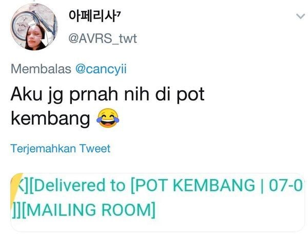 15 Laporan Penerimaan Paket Paling Kocak yang Pernah Dialami Netizen