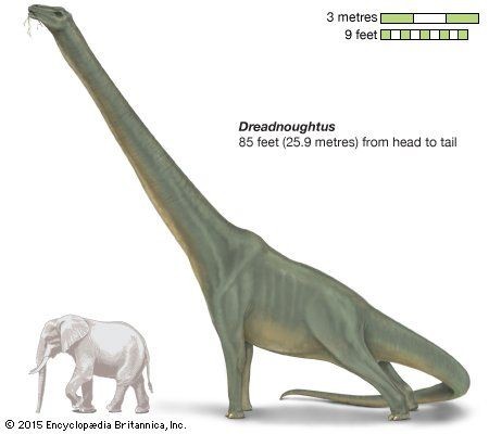 7 Dinosaurus Terbesar Sepanjang Sejarah, Ada yang Tingginya 21 Meter