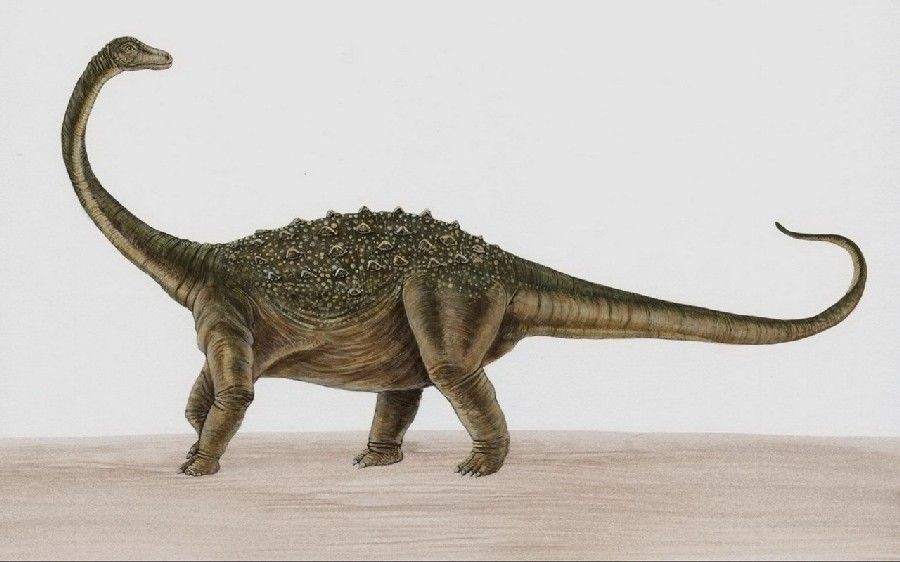 7 Dinosaurus Terbesar Sepanjang Sejarah, Ada yang Tingginya 21 Meter