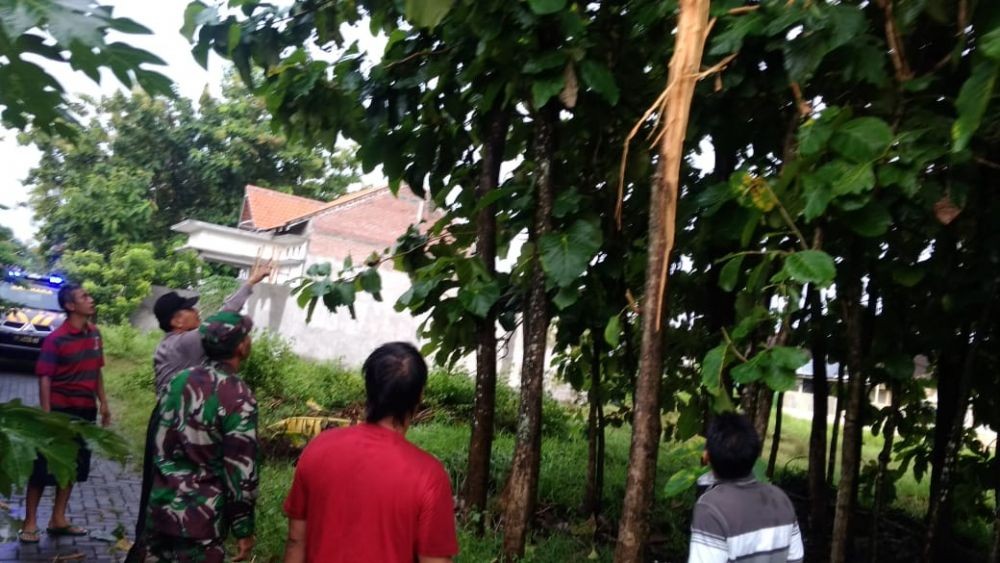 Petani dan Pencari Rumput di Jombang Tewas Tersambar Petir