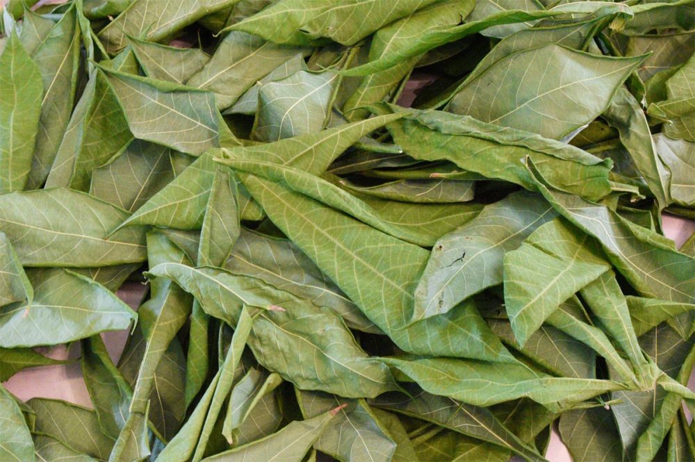 10 Tips Memasak Daun Singkong biar Gak Pahit, Lebih Empuk Pula