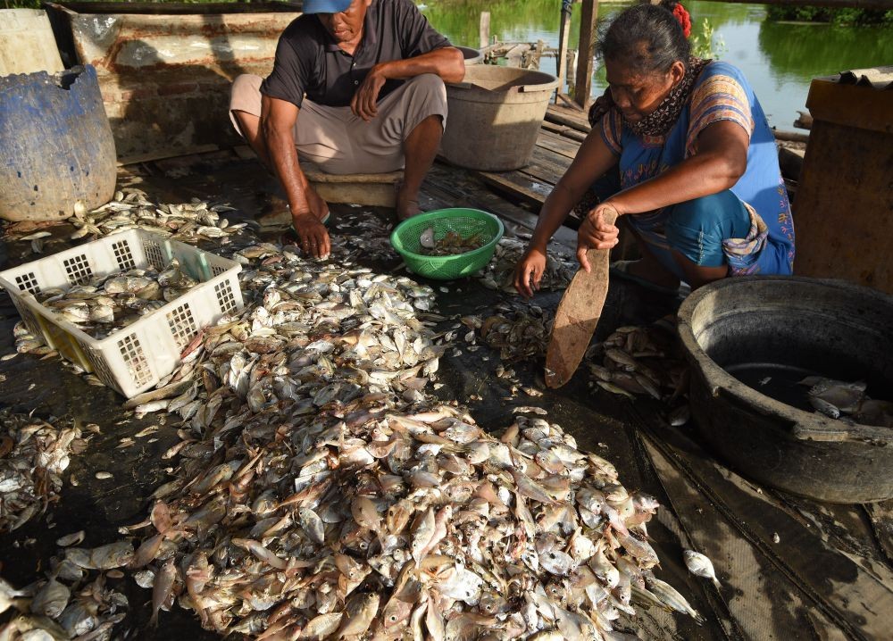 Terdampak COVID-19, Nelayan di Tangerang Terancam Gulung Tikar
