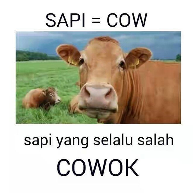 Kumpulan Pelesetan Nama Benda Pakai Bahasa Inggris, Bisa Gitu Ya?