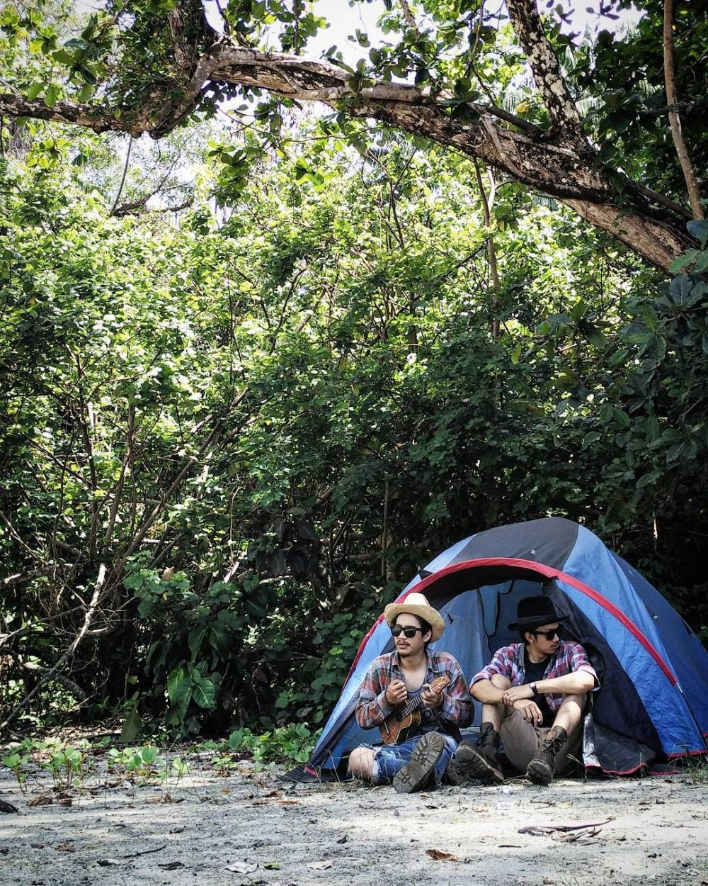 9 Hutan yang Dikenal Paling Angker di Indonesia, Kamu Pernah ke Sini?