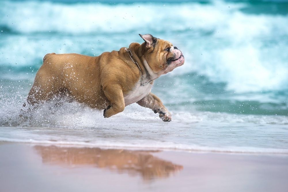 10 Hal Sepele yang Gak Boleh Dilakukan Saat Liburan ke Pantai