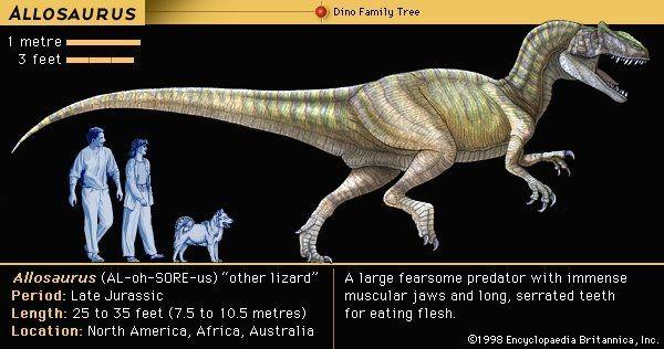 10 Dinosaurus Paling Cerdas Yang Pernah Ada Sepintar Apa Mereka