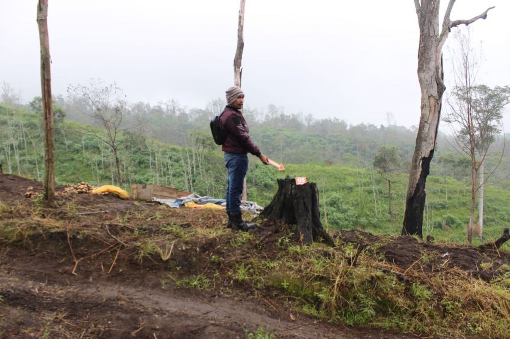 Kades di Bondowoso Ditangkap atas Kasus Alih Fungsi Lahan Hutan Ijen