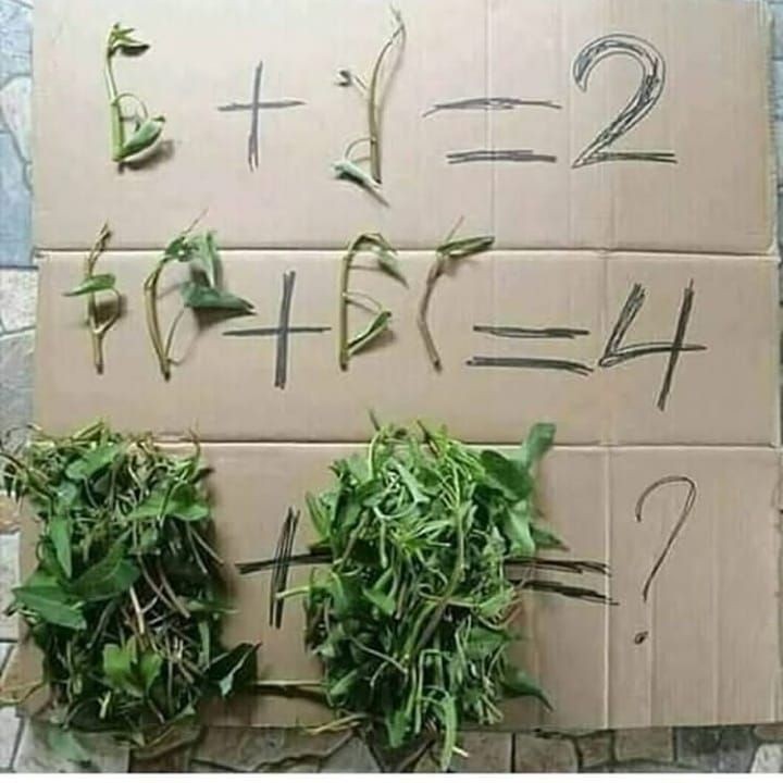 Jenius Jika Bisa Jawab, 10 Meme Tebak Gambar Ini Pasti Bikin Nyengir