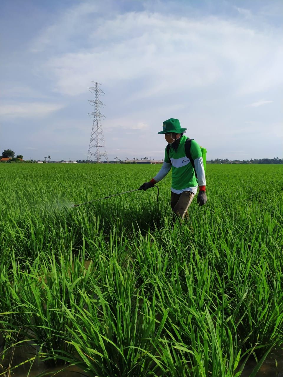 Pandemik Mulai Berdampak ke Pertanian, NTP Petani Banten Merosot Tajam