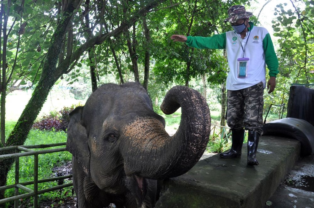Lebaran Tahun Ini Medan Zoo Diserbu Pengunjung
