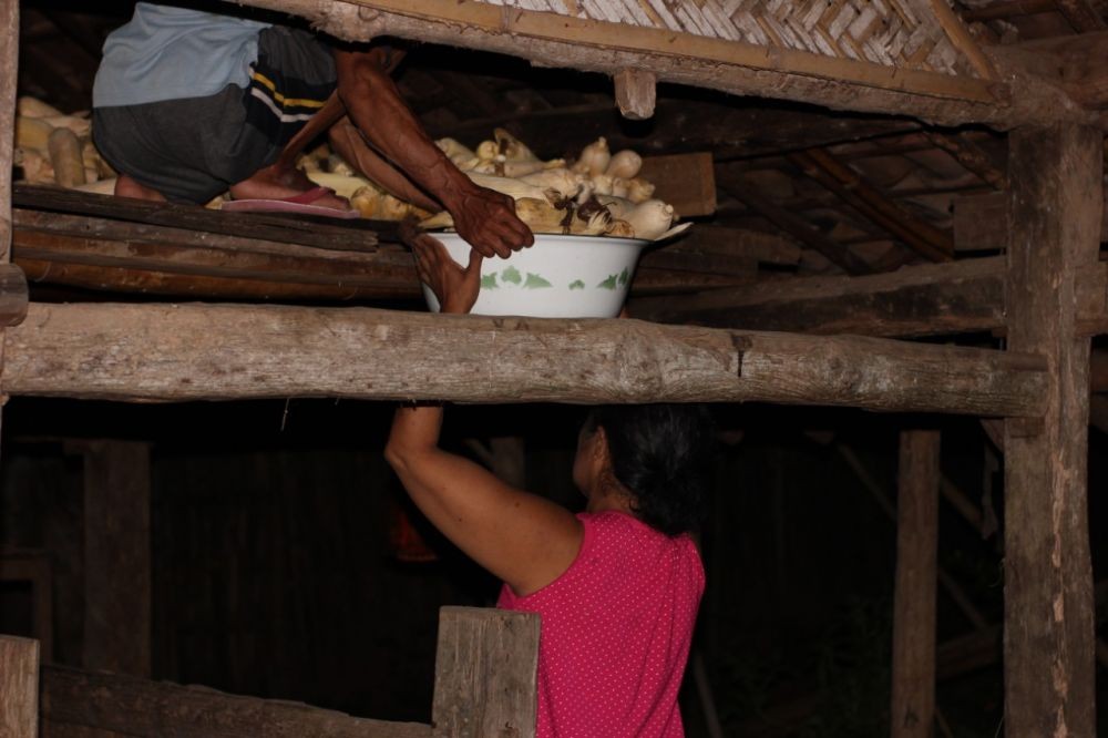 Pemuda Papring, Ajak Petani Aktifkan Lumbung Jagung di Tengah Pandemik
