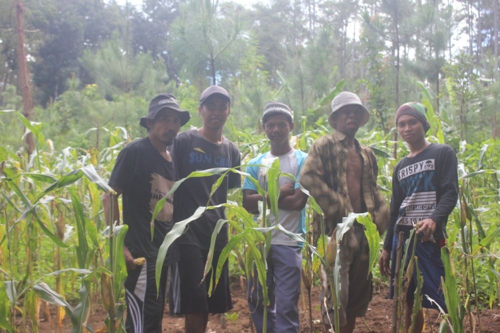 Pemuda Papring, Ajak Petani Aktifkan Lumbung Jagung di Tengah Pandemik