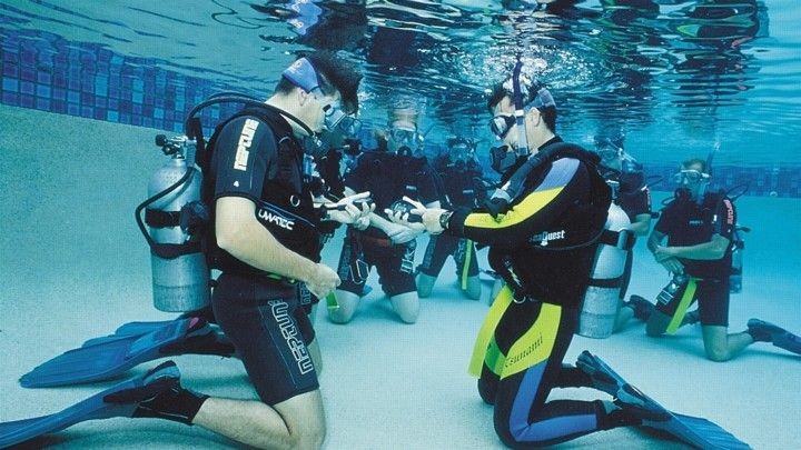 4 Hal Ini Harus Diperhatikan Sebelum Diving biar Selalu Aman & Nyaman 