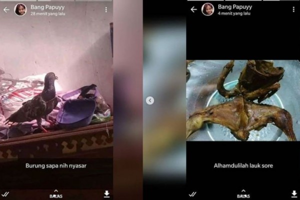 10 Potret Kocak Ini Gambarkan Rezeki Nomplok yang Tak Terduga