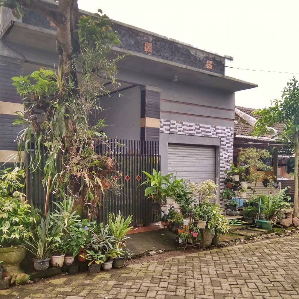 Inspirasi Rumah Mungil Tema Rustic LT LB 60m