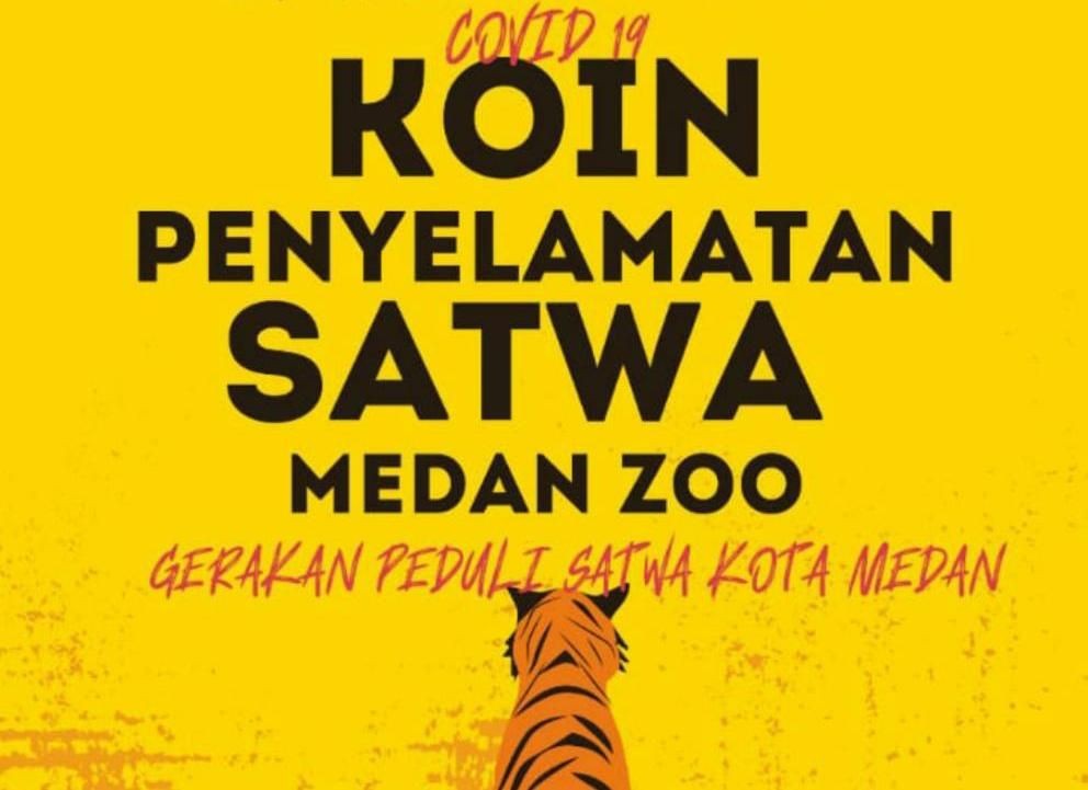 Satwa Medan Zoo Terancam Kelaparan, Warga Kumpulkan Koin Penyelamatan 