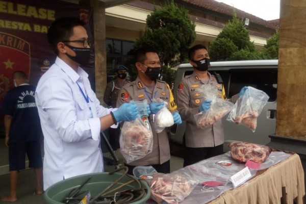 Polresta Bandung Bongkar Sindikat Penjualan 63 Ton Daging Babi
