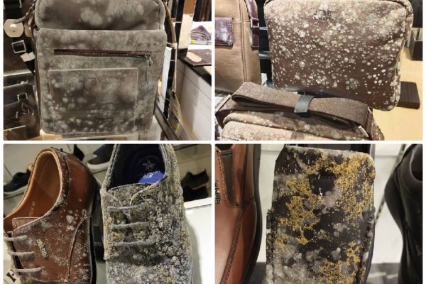 Ditinggal Lockdown 50 Hari, Produk Mall di Malaysia Ditemukan Jamur