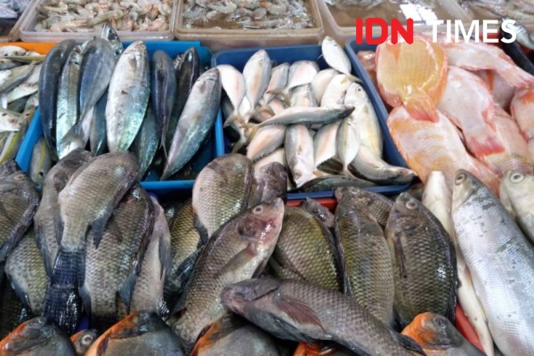 Konsumsi Ikan, Asupan Protein Jaga Imunitas di Masa Pandemik COVID-19
