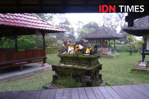 Pengalaman Mendaki Puncak Bon di Bali, Tersesat Bila Langgar Pantangan