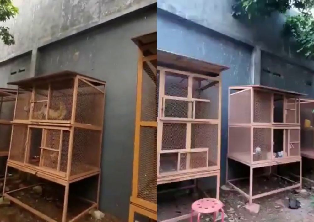 10 Potret Rumah Mewah Ustaz Yusuf Mansur, Asri dan Adem Bikin Nyaman