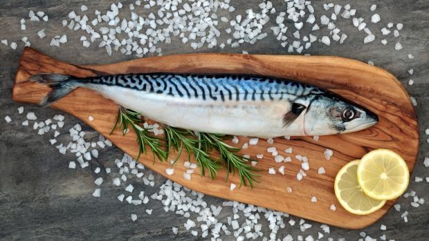 Apakah Ibu Hamil Boleh Makan Seafood? Ini Penjelasannya!